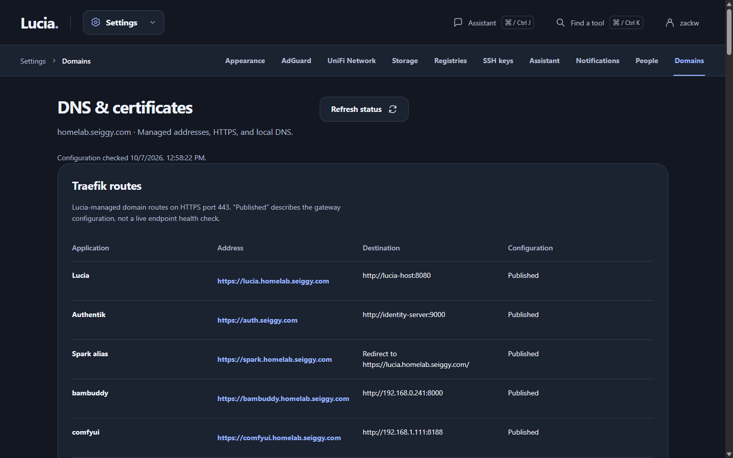 The Domains page showing the steps to connect a domain