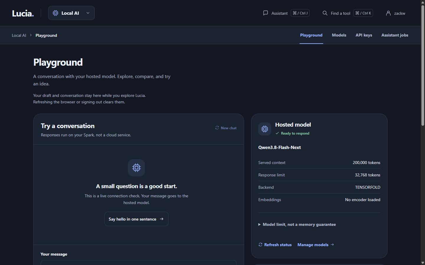 The Playground page with a conversation and the hosted model's details beside it